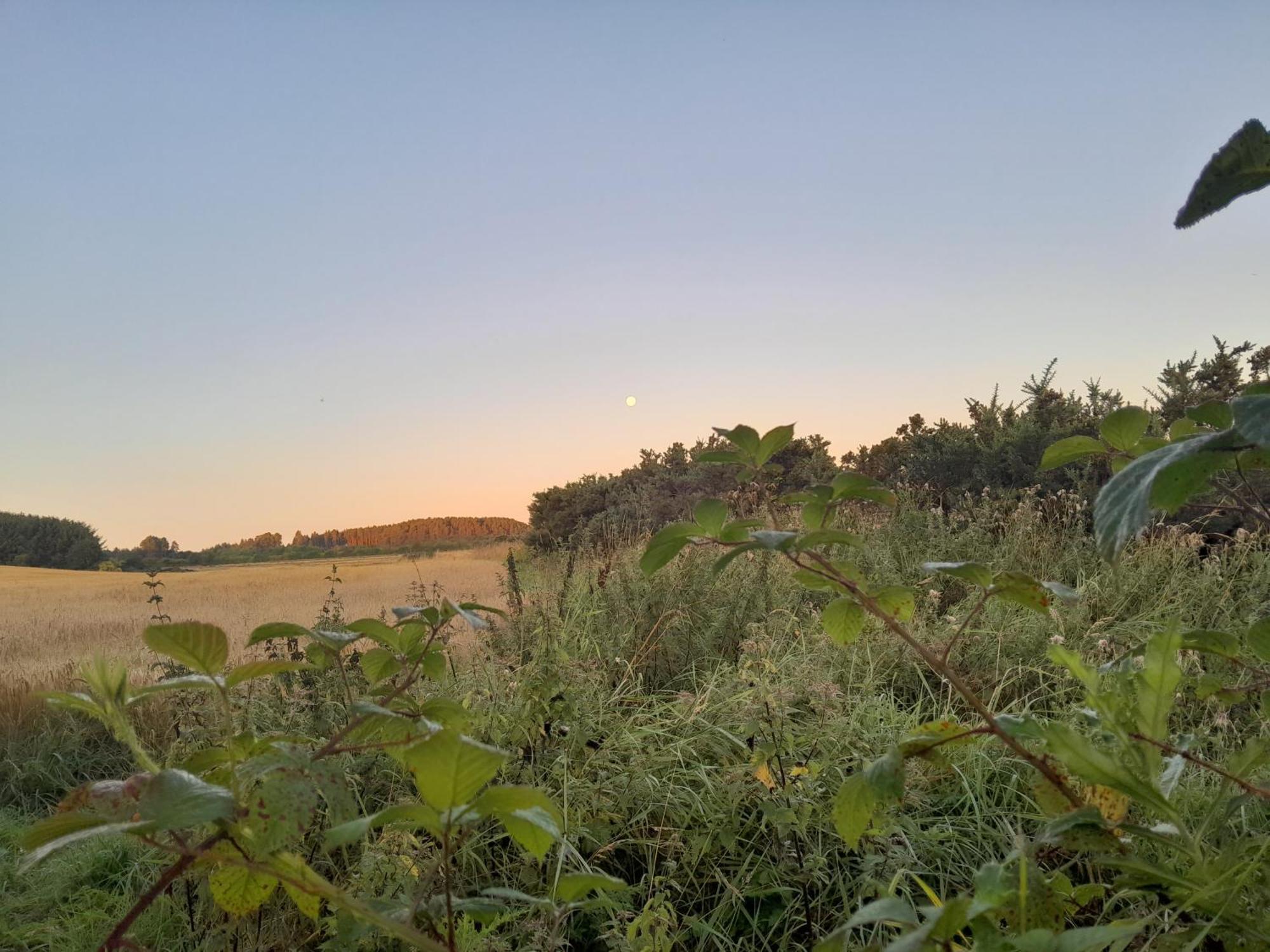 LongmornThe Boathouse别墅 外观 照片